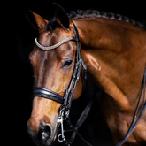 Lumiere 'Madeline' Luxury Leather Bridle (Double) (Includes Reins)